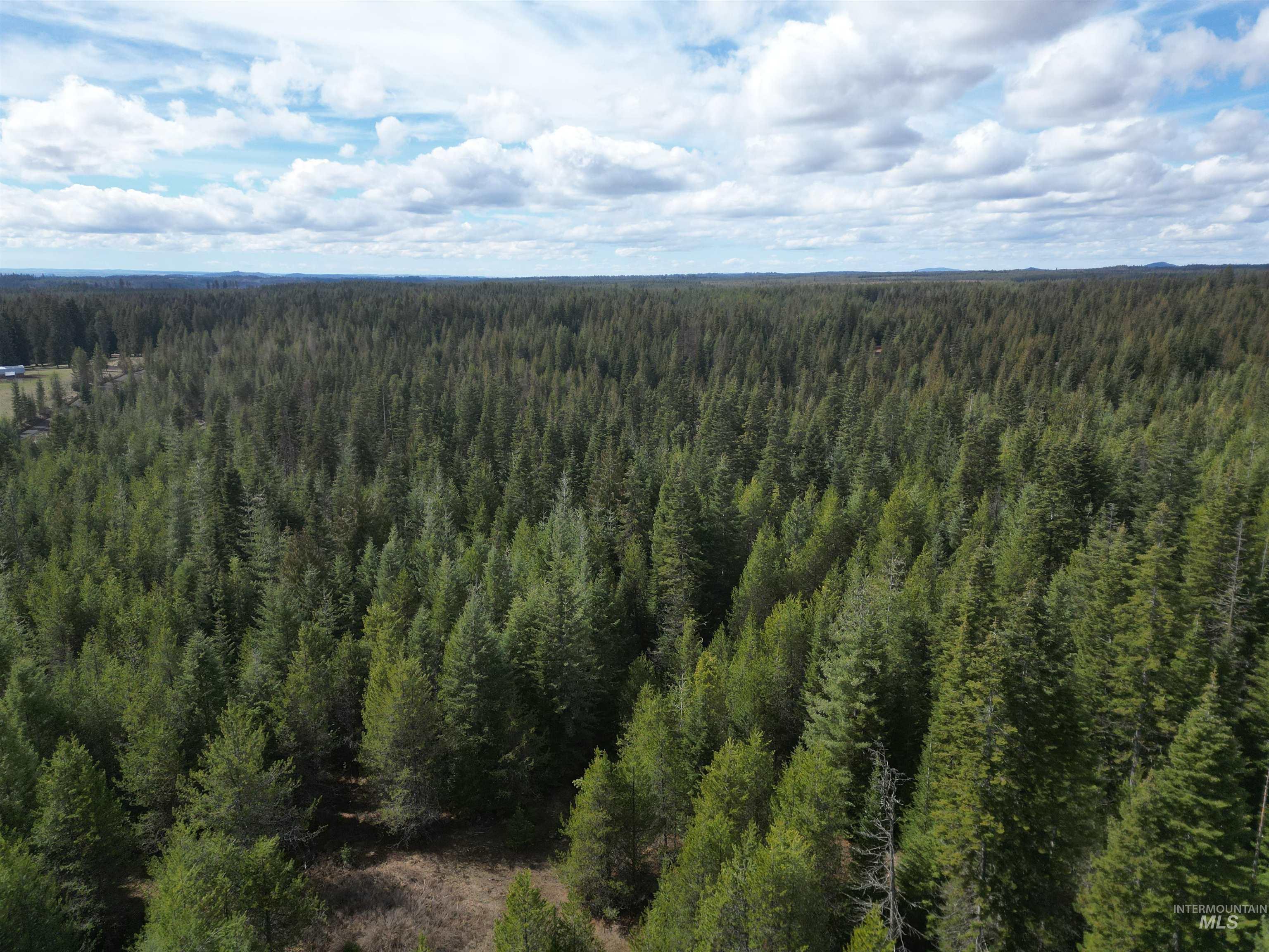 Tbd Lot 10 Tbd Lane Weippe, ID 83553 - Photo 18 of 29