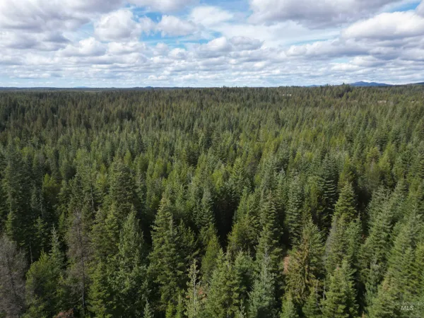 $100,000 | Tbd Lot 10 Tbd Lane, Weippe, ID 83553