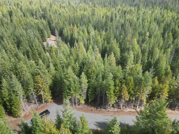 $100,000 | Tbd Lot 10 Tbd Lane, Weippe, ID 83553
