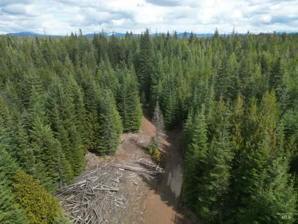 $100,000 | Tbd Lot 10 Tbd Lane, Weippe, ID 83553