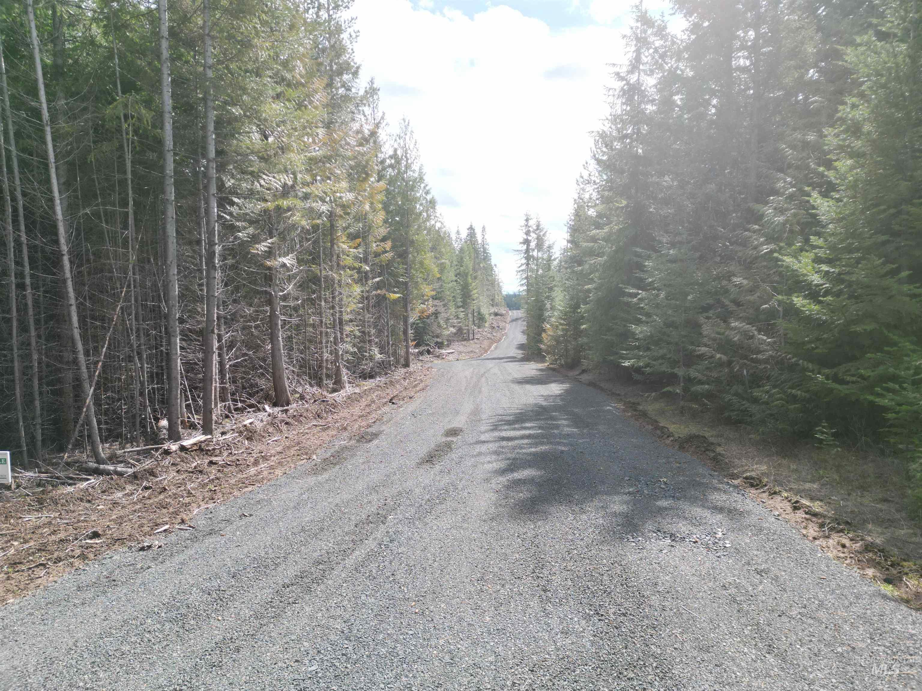 Tbd Lot 10 Tbd Lane Weippe, ID 83553 - Photo 27 of 29