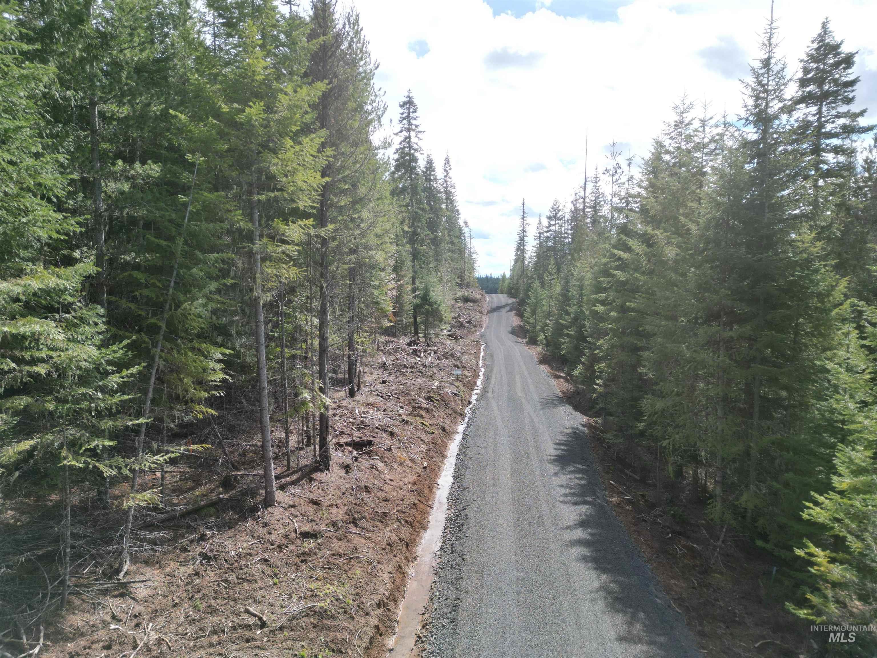 Tbd Lot 10 Tbd Lane Weippe, ID 83553 - Photo 28 of 29