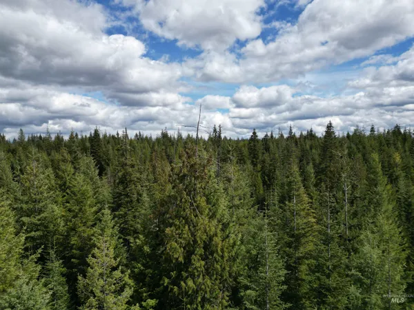 $100,000 | Tbd Lot 10 Tbd Lane, Weippe, ID 83553