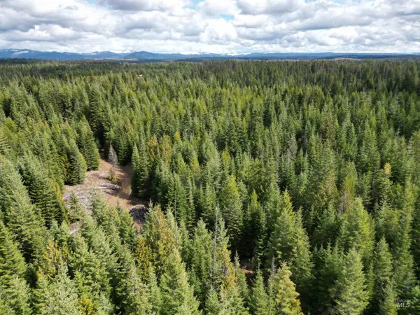 $100,000 | Tbd Lot 10 Tbd Lane, Weippe, ID 83553