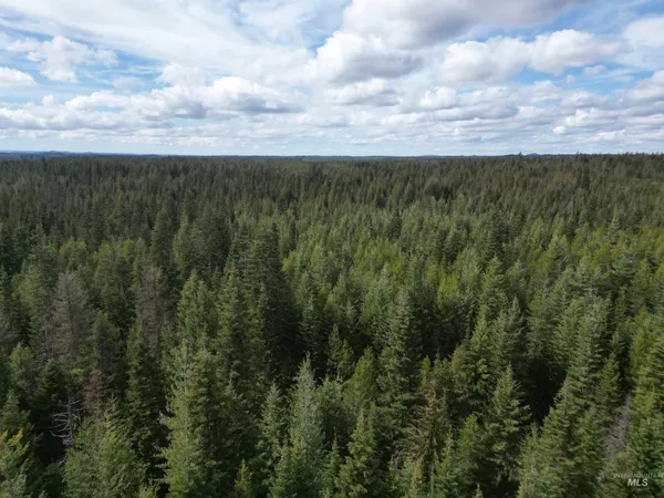 $100,000 | Tbd Lot 10 Tbd Lane, Weippe, ID 83553