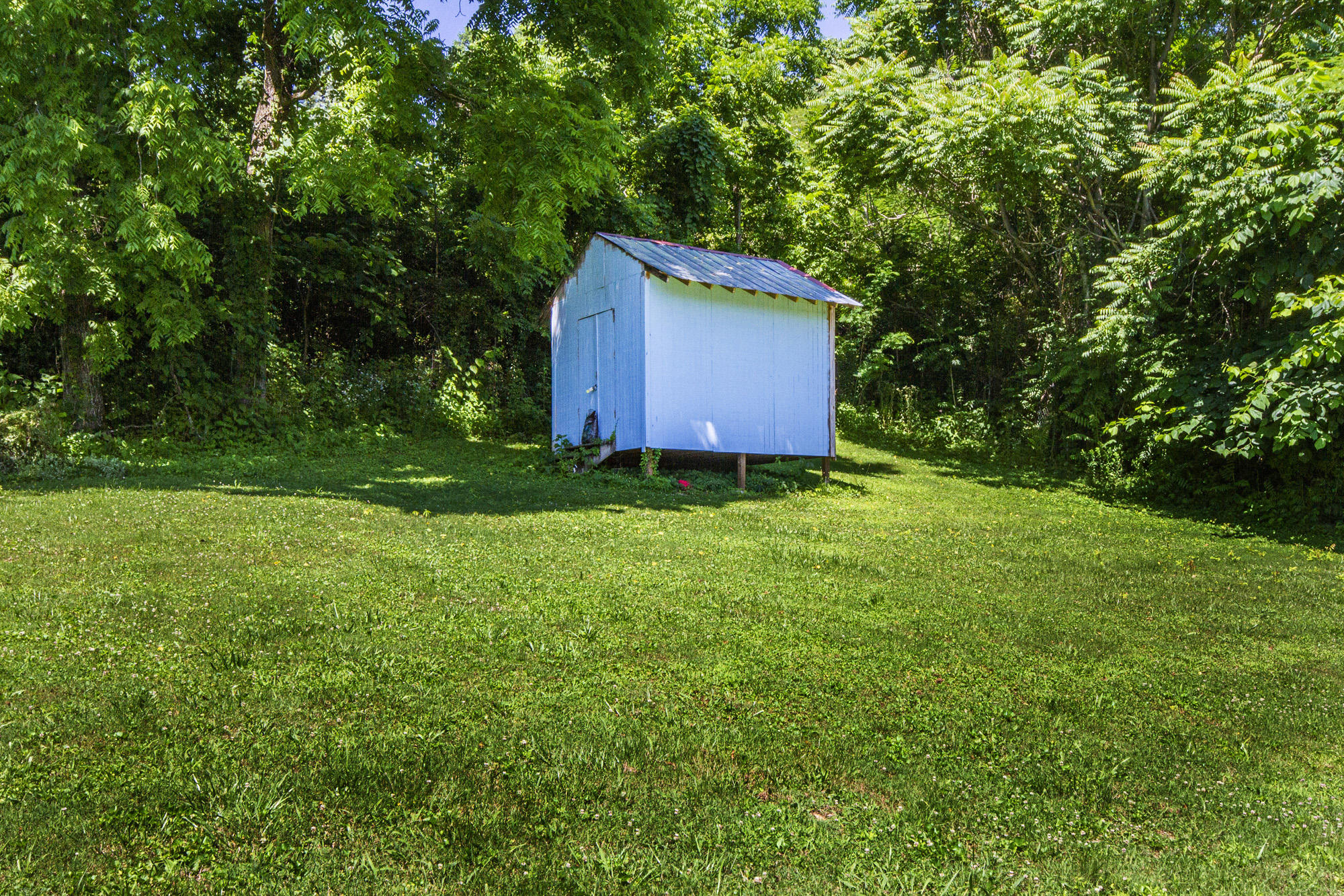 470 Island Ford Road Jacksboro, TN 37757 - Photo 11 of 39 IMG_0050