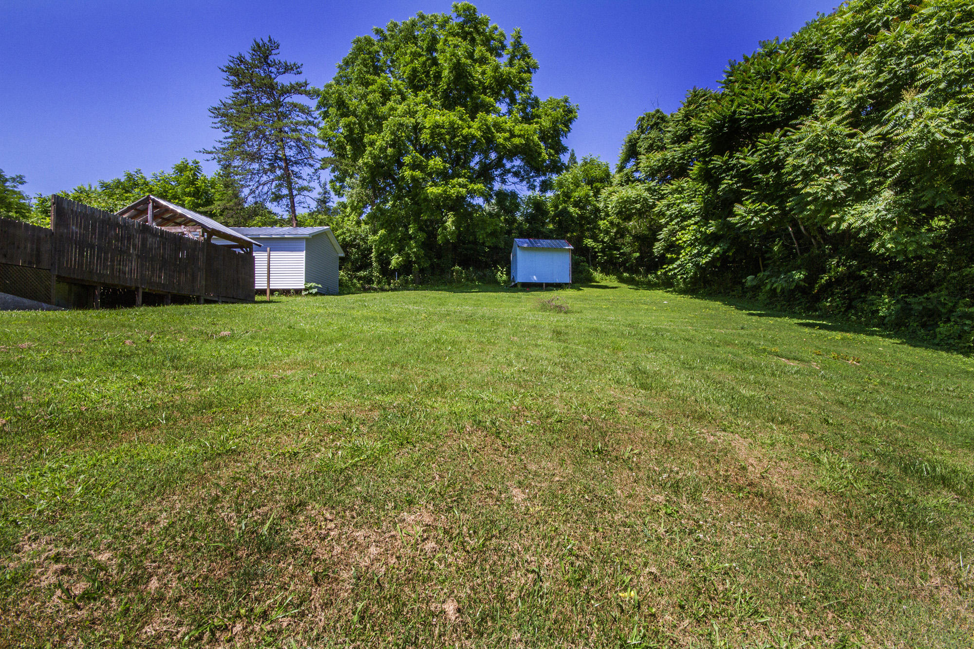 470 Island Ford Road Jacksboro, TN 37757 - Photo 9 of 39 IMG_0048