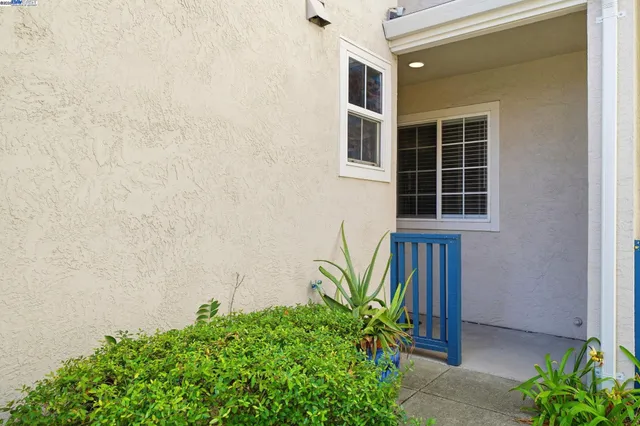 a house with a plant in front of it