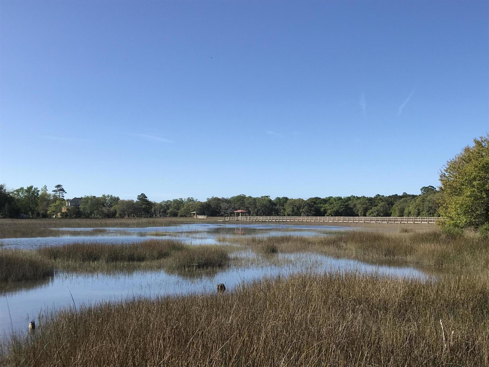 5440 Chisolm Road Johns Island, SC 29455 - Photo 21 of 29 IMG_0977
