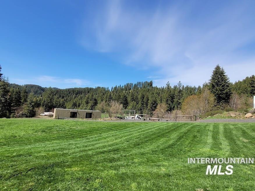 112 Three Forks Road Kamiah, ID 83536 - Photo 33 of 45 View of green lawn with a forest view and a view of rural / pastoral area