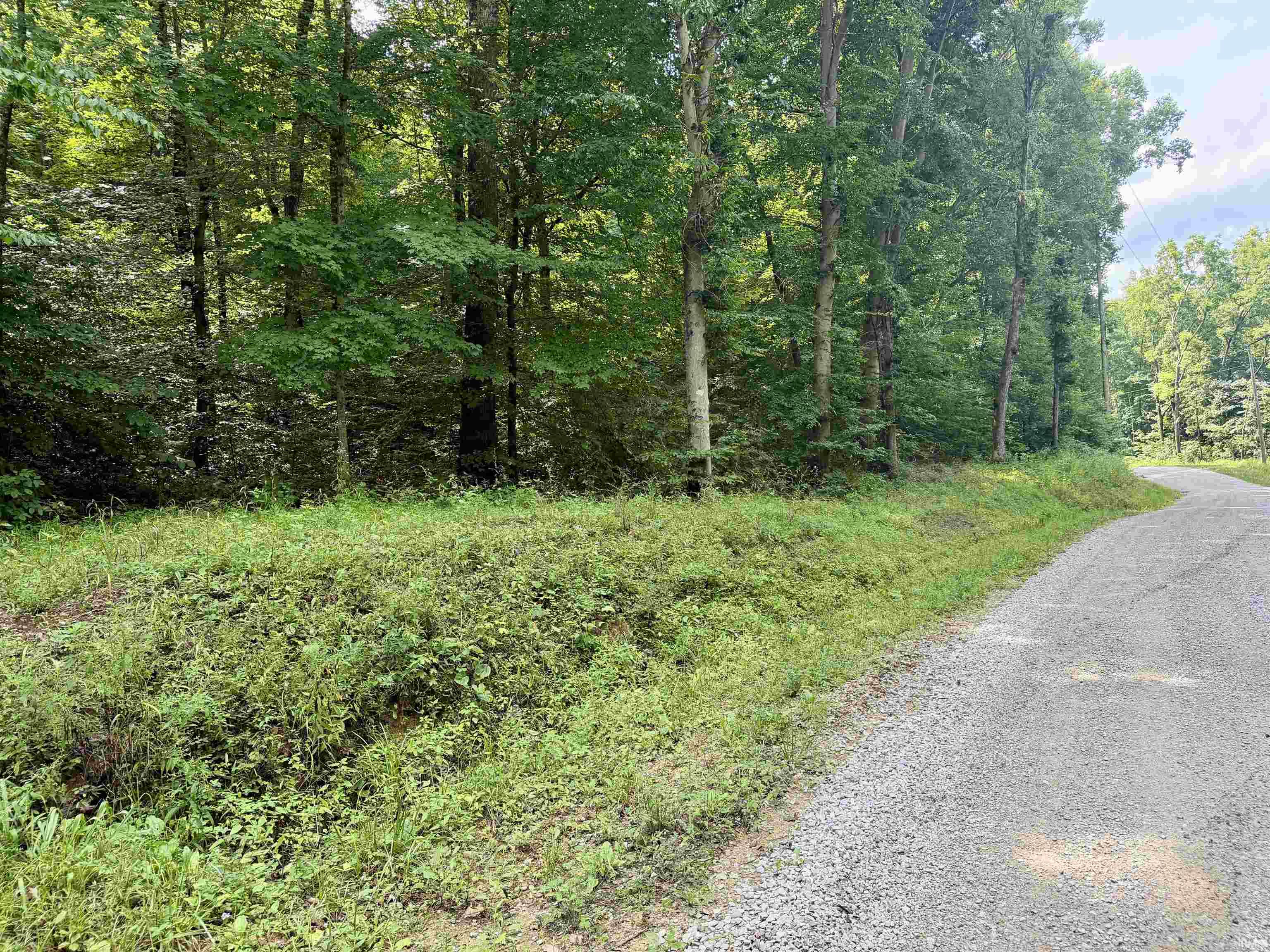 Off Candlestick Road Bristow, IN 47515 - Photo 4 of 30