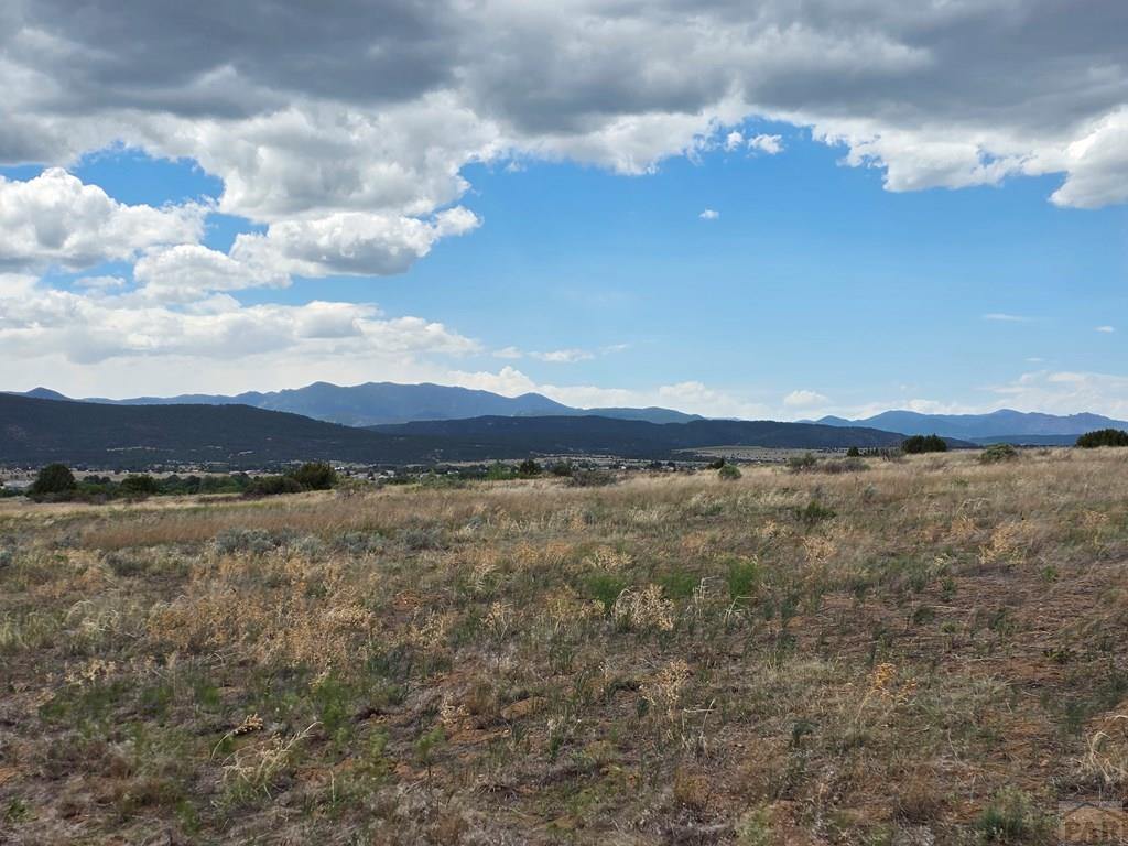 Lot 129 Rosemoore Drive Rye, CO 81069 - Photo 9 of 13
