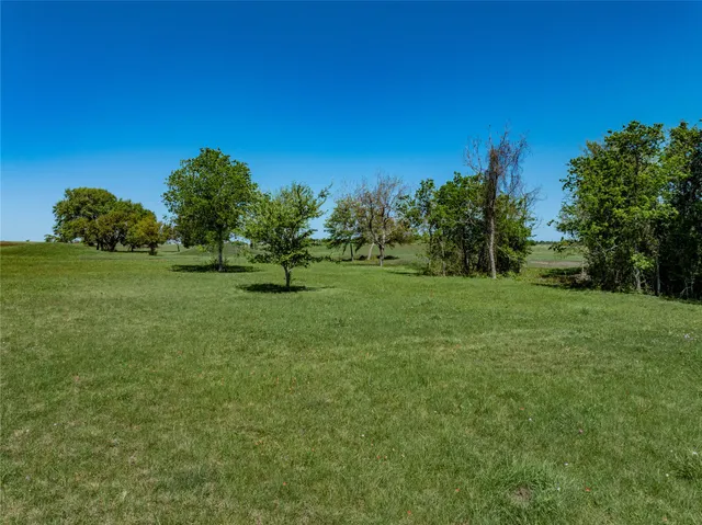 a view of a grassy field with trees in the background