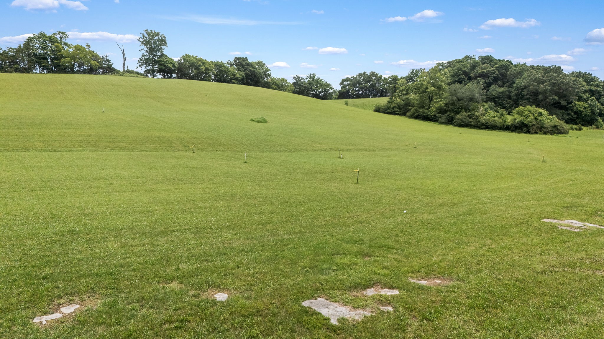 0 Pleasant Hill Road Lynchburg, TN 37352 - Photo 16 of 25