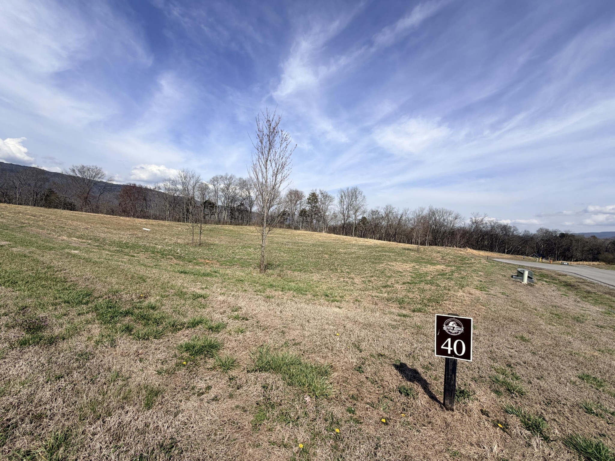 40 River Ridge Drive Dunlap, TN 37327 - Photo 2 of 15 Gallery Image 2