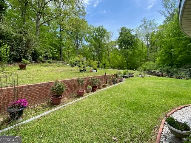 a view of a park with large trees and a fence
