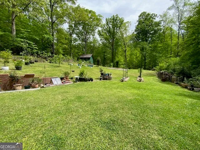 a view of a backyard with large trees
