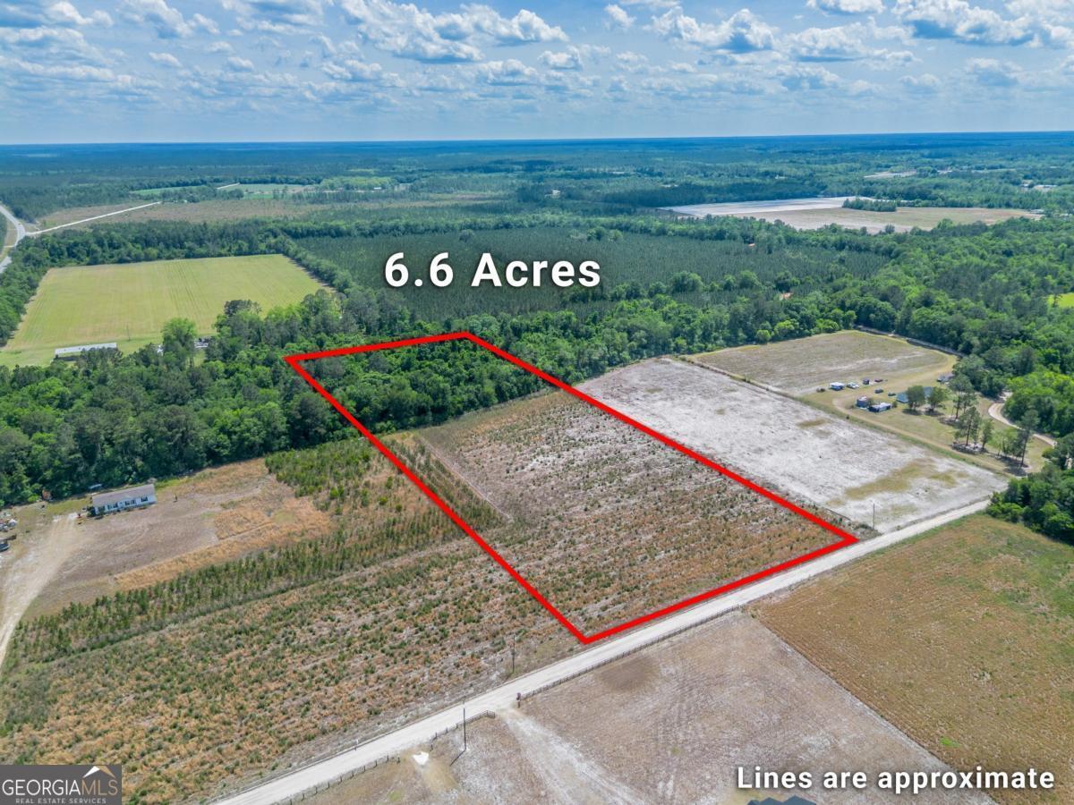 6.6-acres Bert Road Hoboken, GA 31542 - Photo 1 of 15