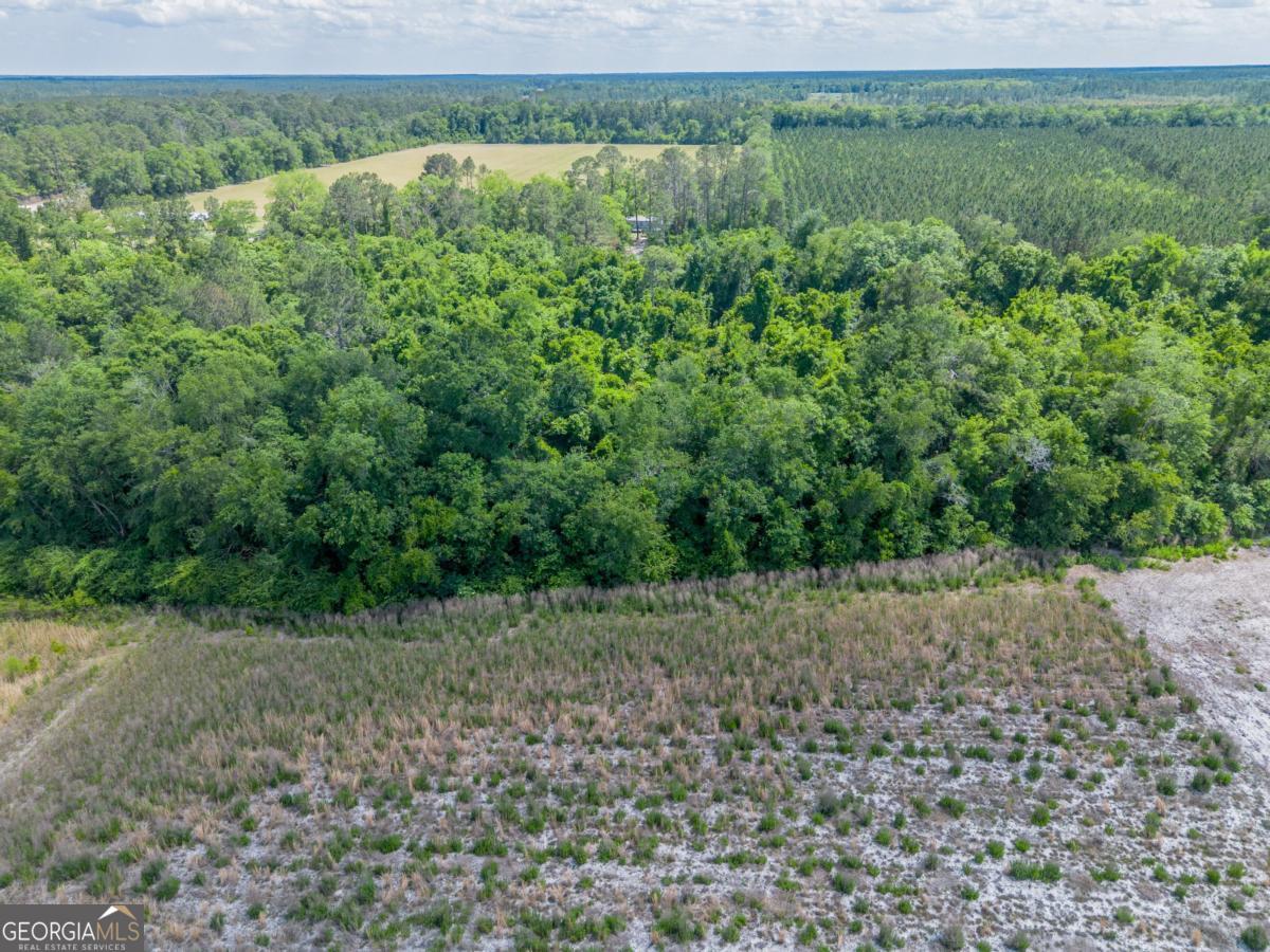 6.6-acres Bert Road Hoboken, GA 31542 - Photo 11 of 15