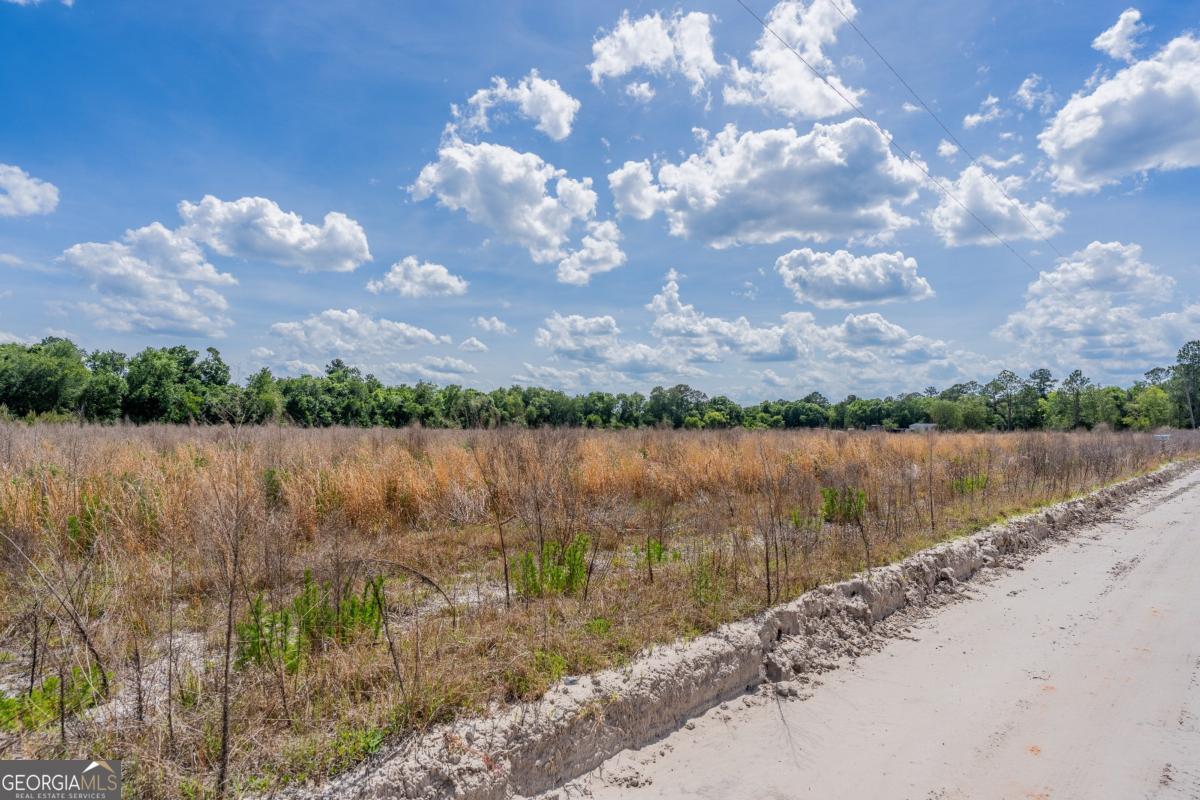 6.6-acres Bert Road Hoboken, GA 31542 - Photo 12 of 15