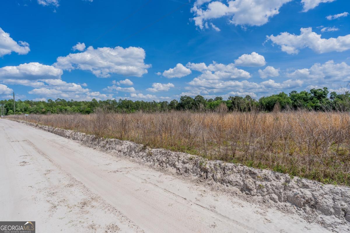 6.6-acres Bert Road Hoboken, GA 31542 - Photo 13 of 15