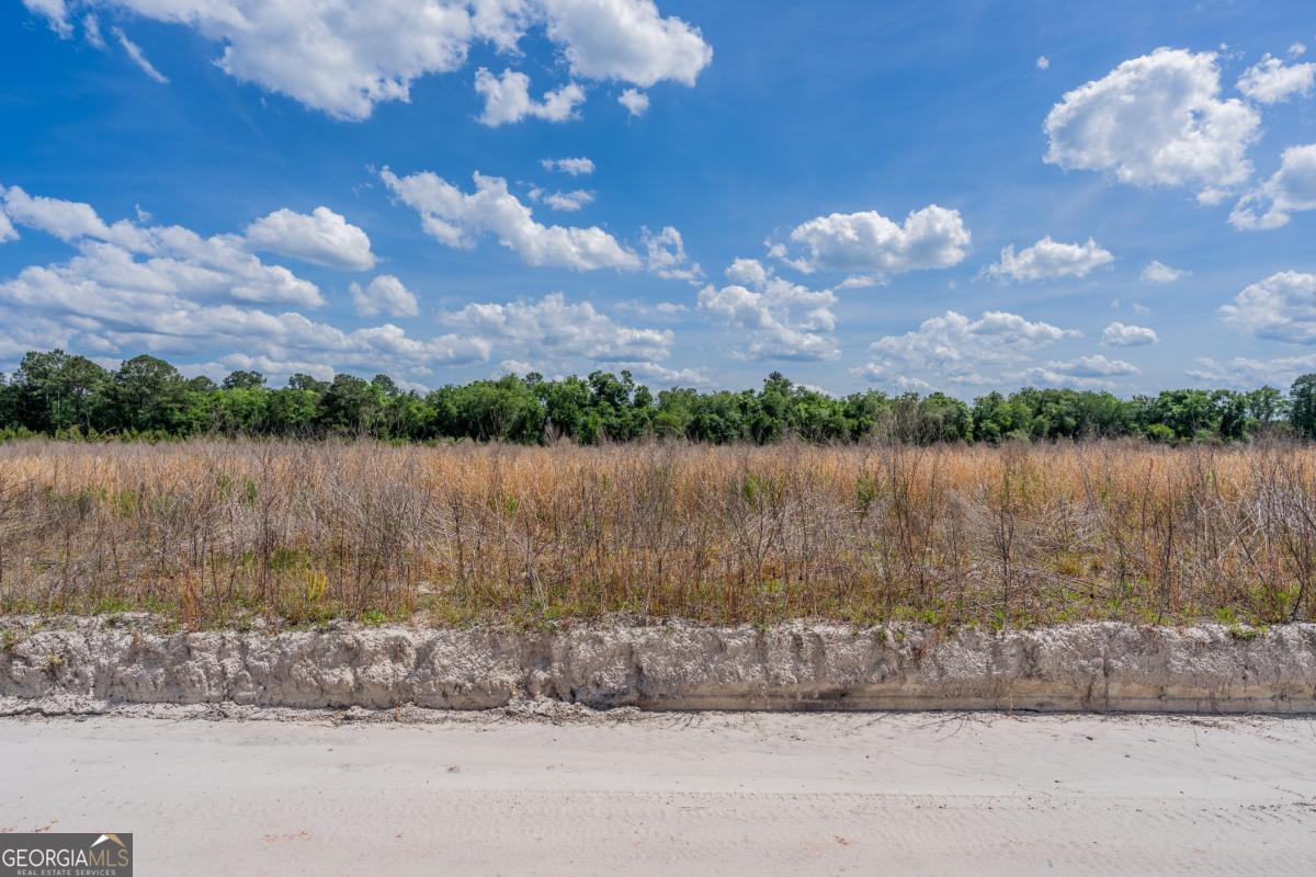 6.6-acres Bert Road Hoboken, GA 31542 - Photo 14 of 15