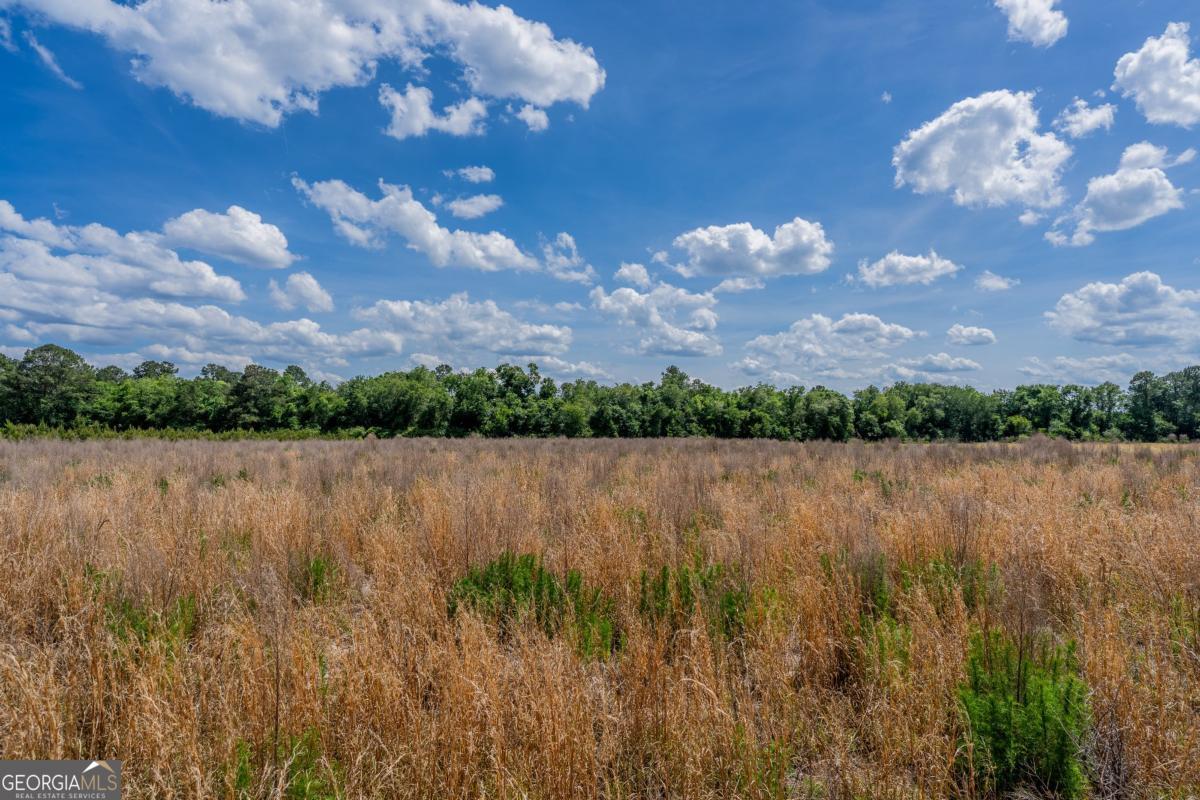 6.6-acres Bert Road Hoboken, GA 31542 - Photo 15 of 15
