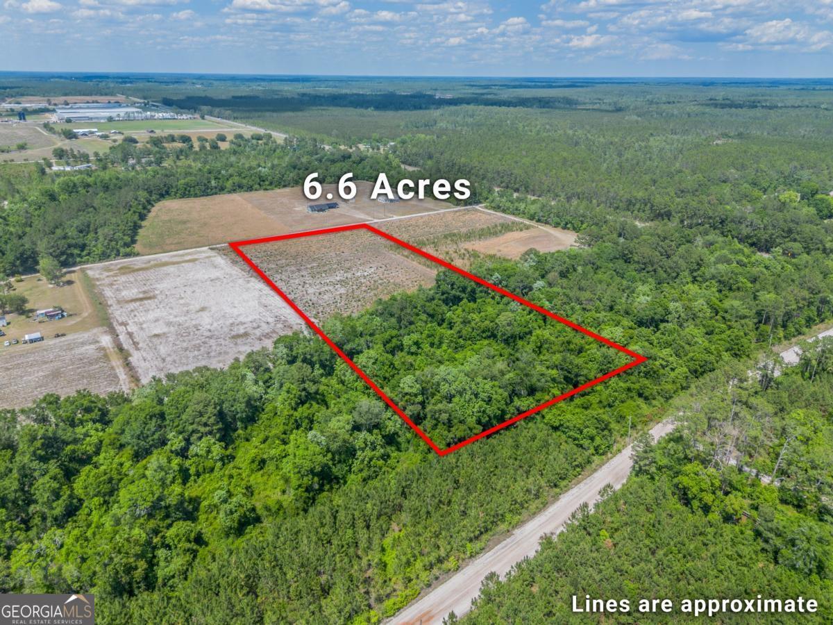 6.6-acres Bert Road Hoboken, GA 31542 - Photo 2 of 15