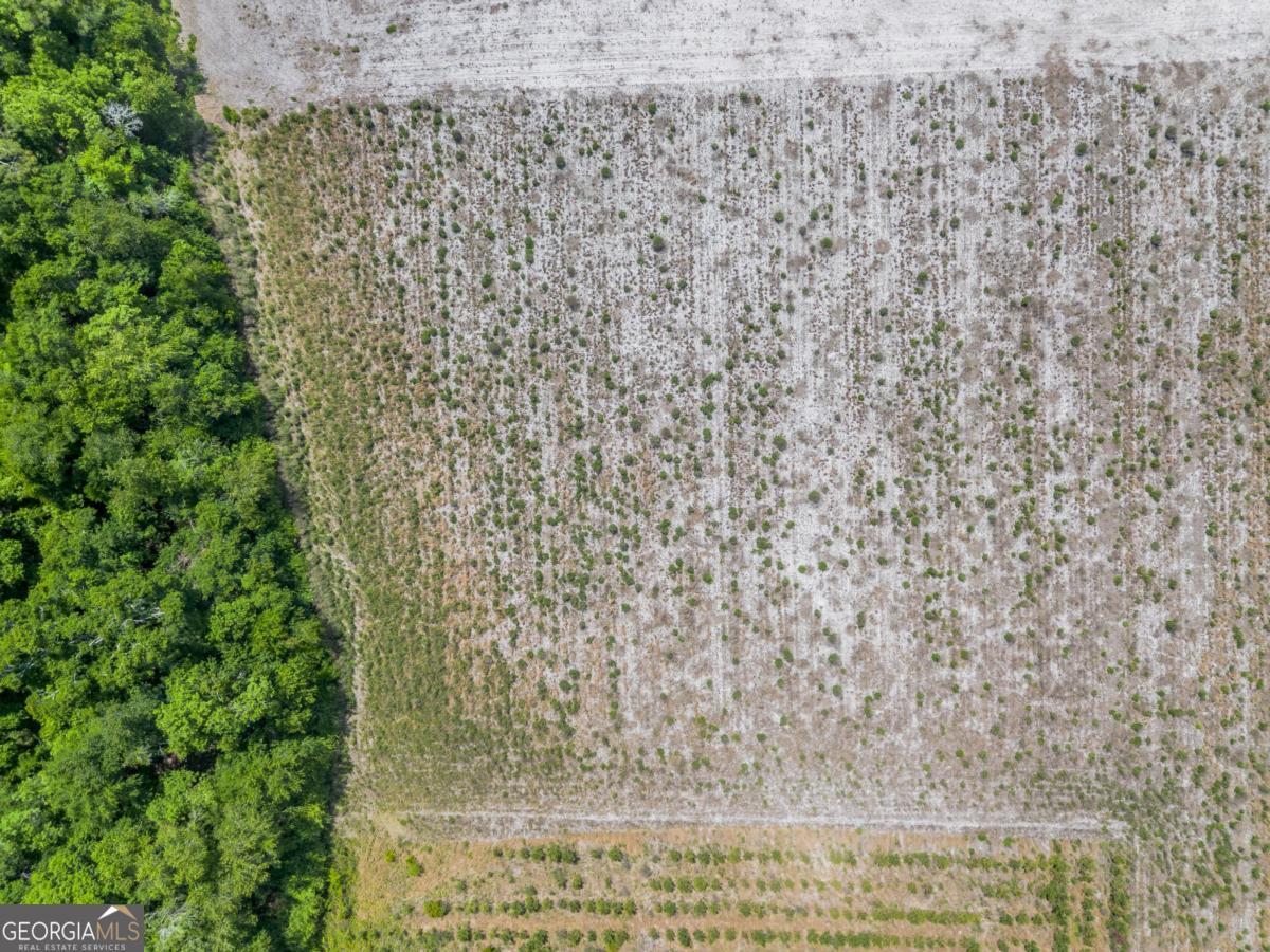 6.6-acres Bert Road Hoboken, GA 31542 - Photo 6 of 15