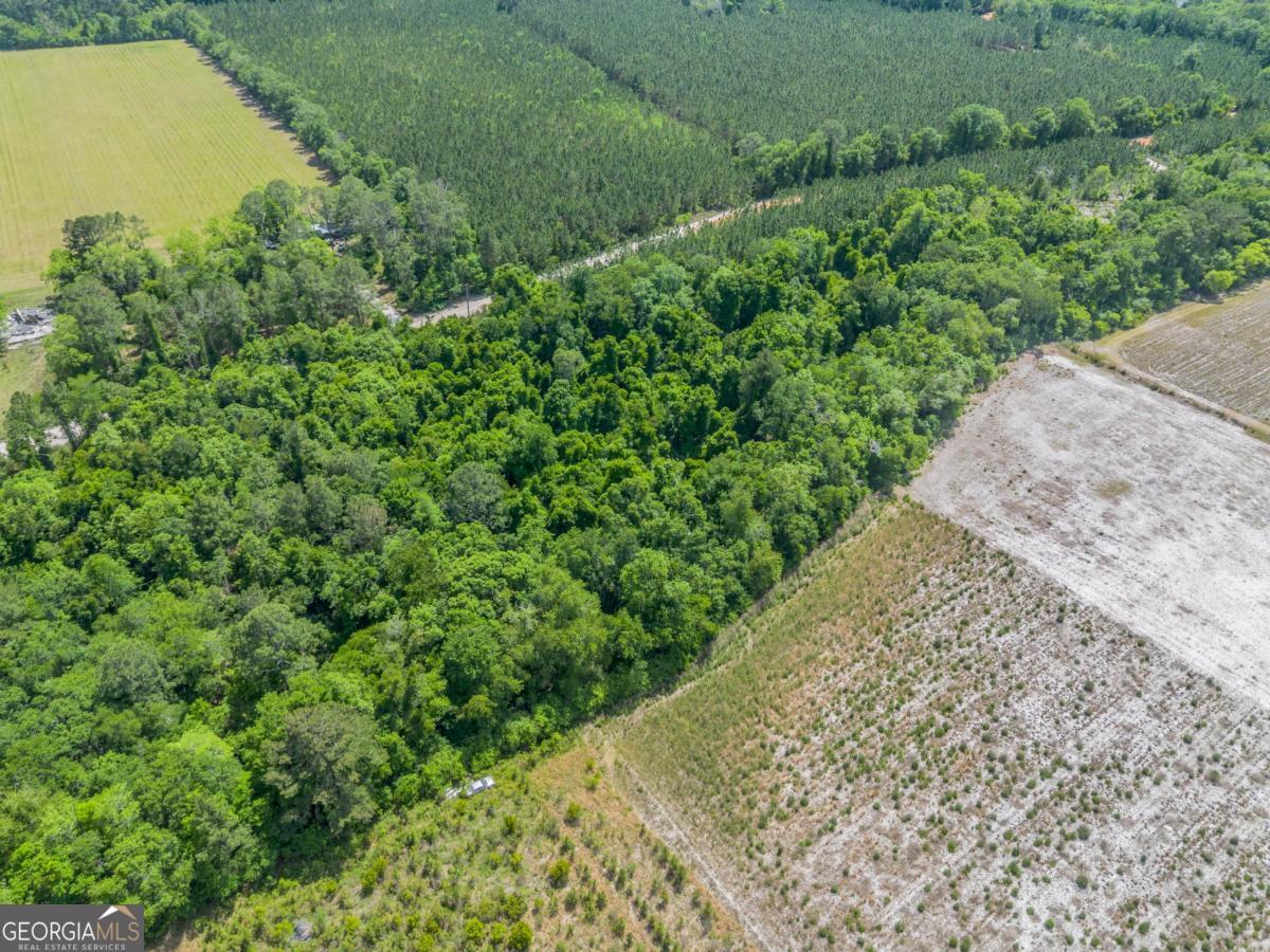 6.6-acres Bert Road Hoboken, GA 31542 - Photo 8 of 15