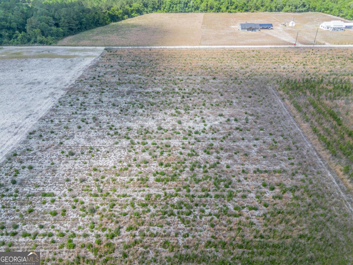 6.6-acres Bert Road Hoboken, GA 31542 - Photo 9 of 15