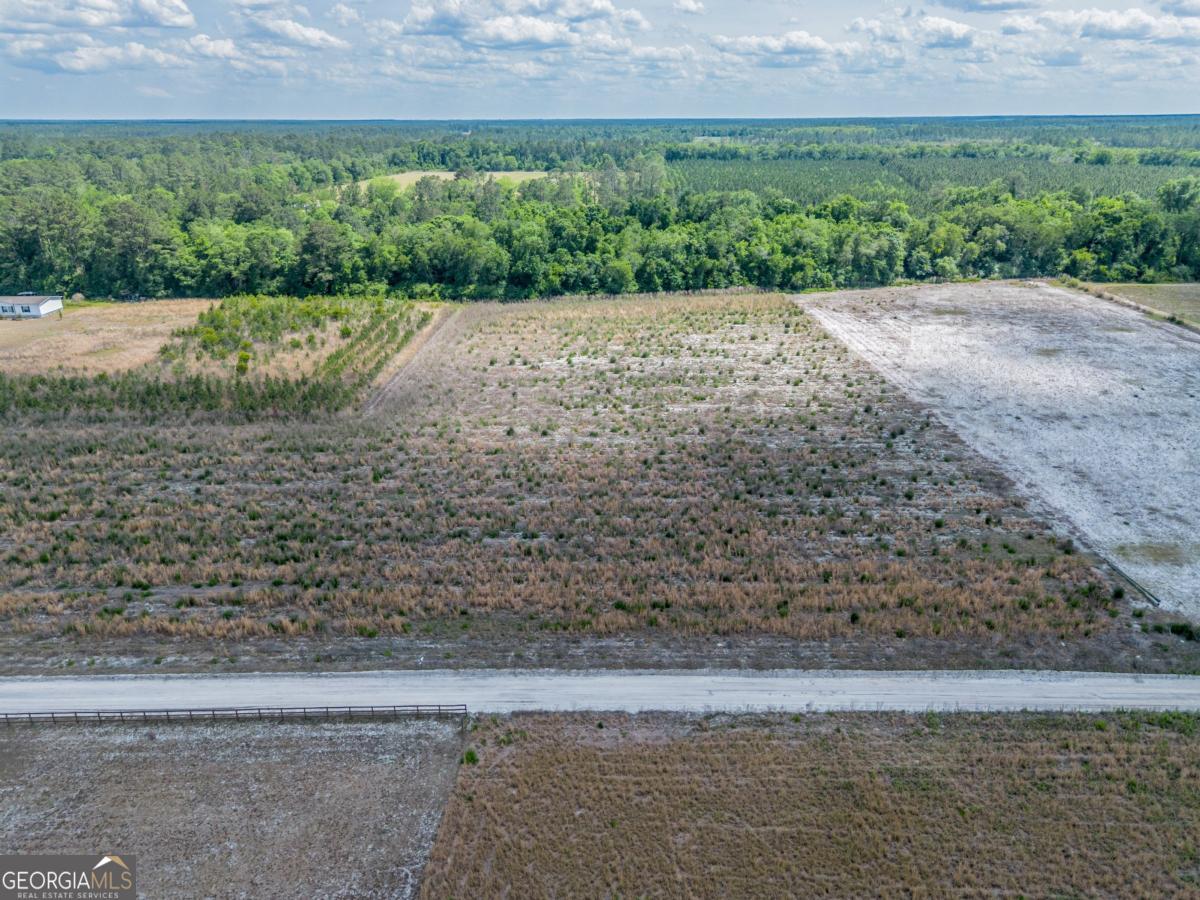 6.6-acres Bert Road Hoboken, GA 31542 - Photo 10 of 15