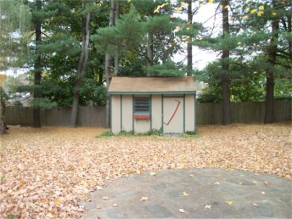 43 Treetop Avenue Springfield, MA 01118 - Photo 9 of 10 Gallery Image 9