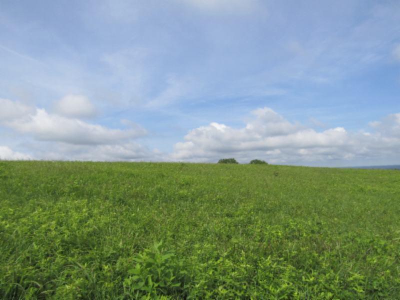 Lot 14 Swan Ridge Road Celina, TN 38551 - Photo 12 of 24 06252019 041