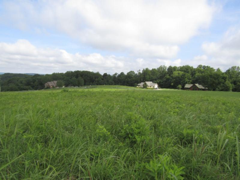 Lot 14 Swan Ridge Road Celina, TN 38551 - Photo 13 of 24 06252019 017