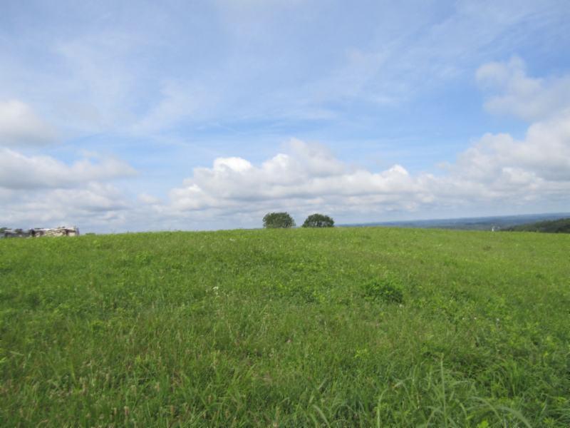 Lot 14 Swan Ridge Road Celina, TN 38551 - Photo 14 of 24 06252019 046