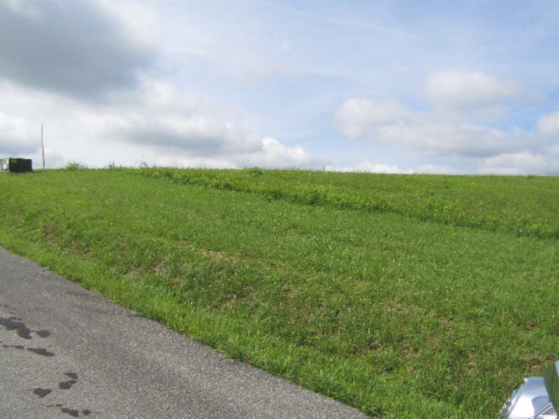 Lot 14 Swan Ridge Road Celina, TN 38551 - Photo 21 of 24 06252019 052