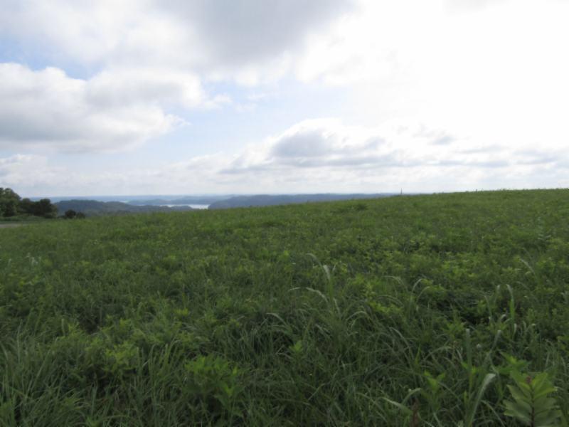 Lot 14 Swan Ridge Road Celina, TN 38551 - Photo 10 of 24 06252019 016