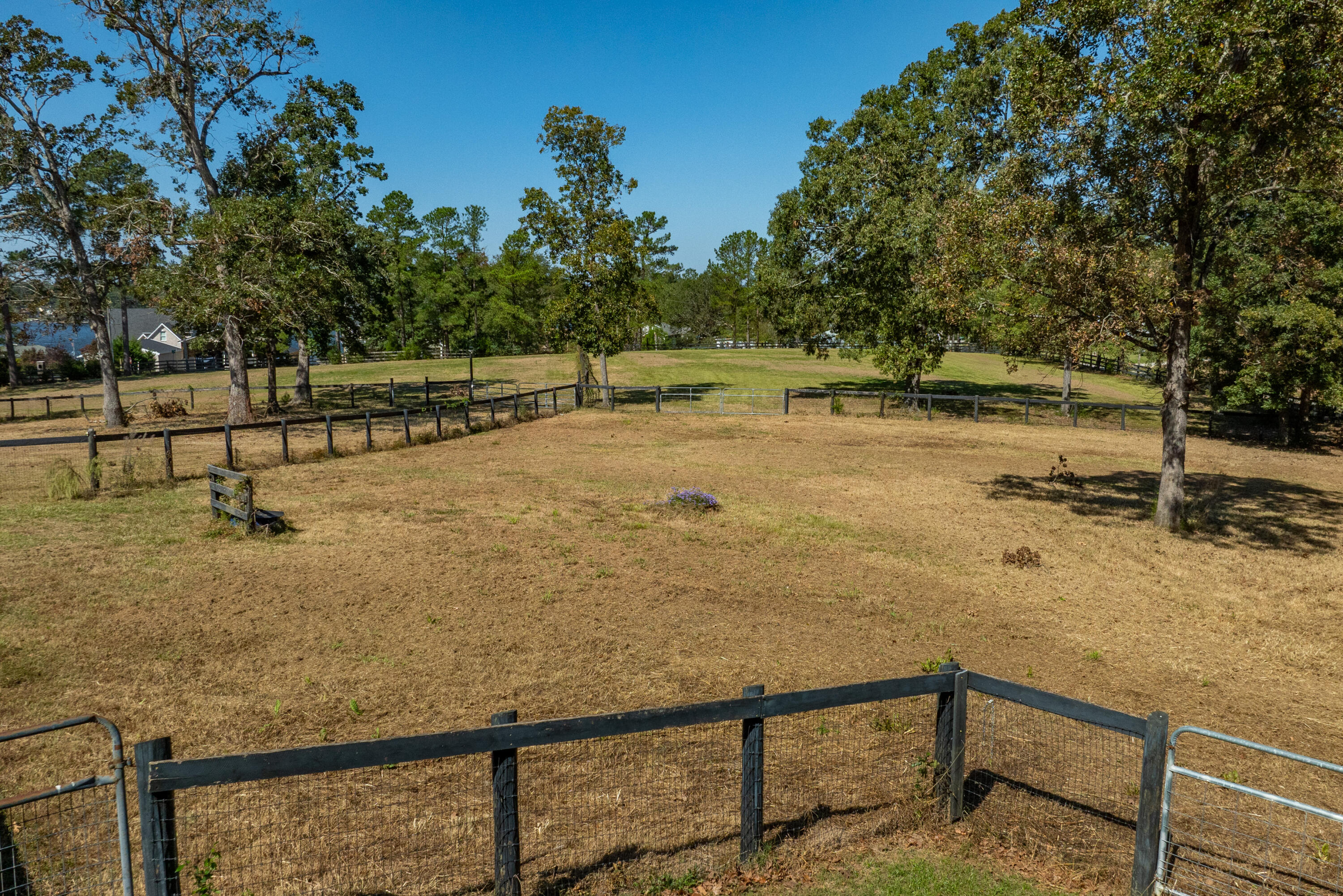 320 Adams Lane Gilbert, SC 29054 - Photo 18 of 92