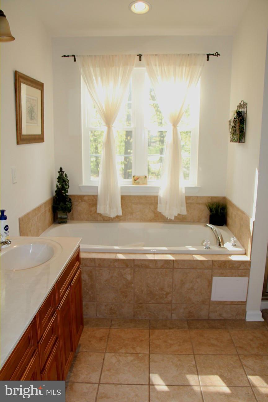 195 Longmoor Road Pasadena, MD 21122 - Photo 10 of 15 Bath (Master)