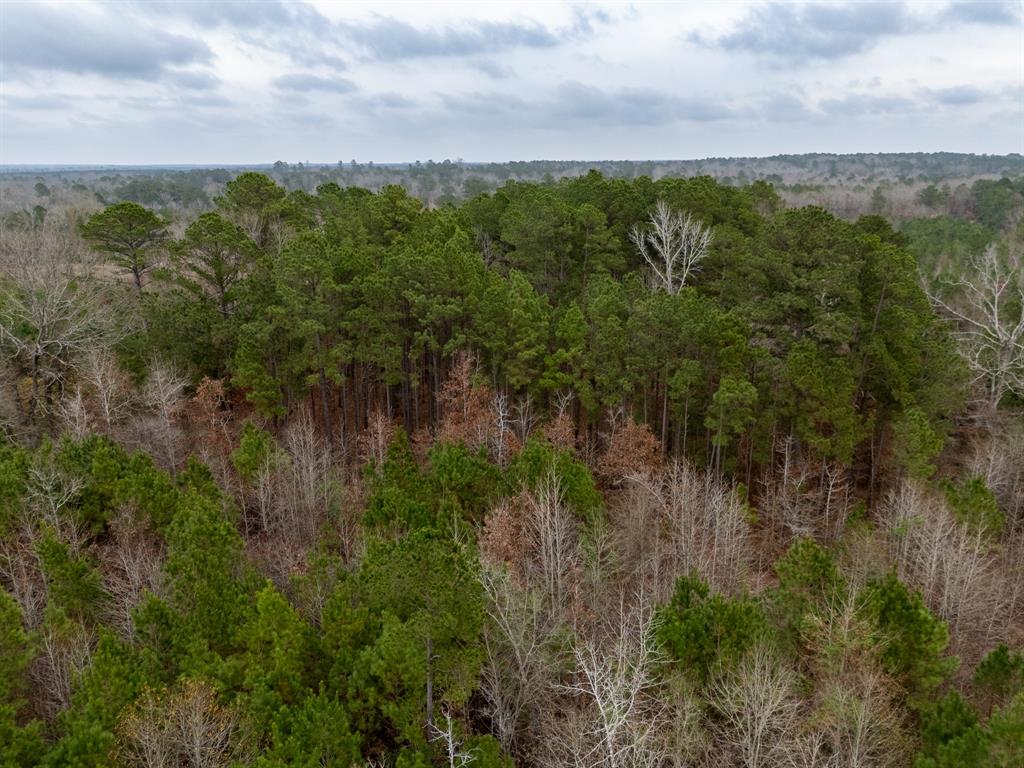 6052 Blocker Road Marshall, TX 75672 - Photo 3 of 22