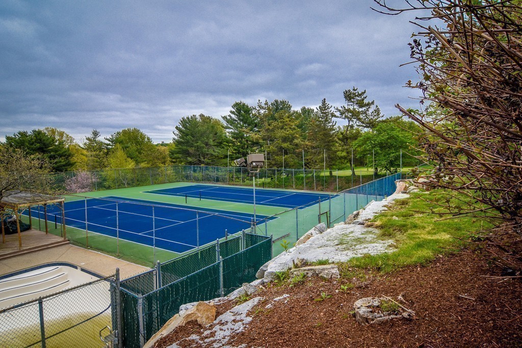 85 Algonquin Road, Unit 85 Chestnut Hill, MA 02467 - Photo 19 of 21 a view of a backyard with potted plants and large tree