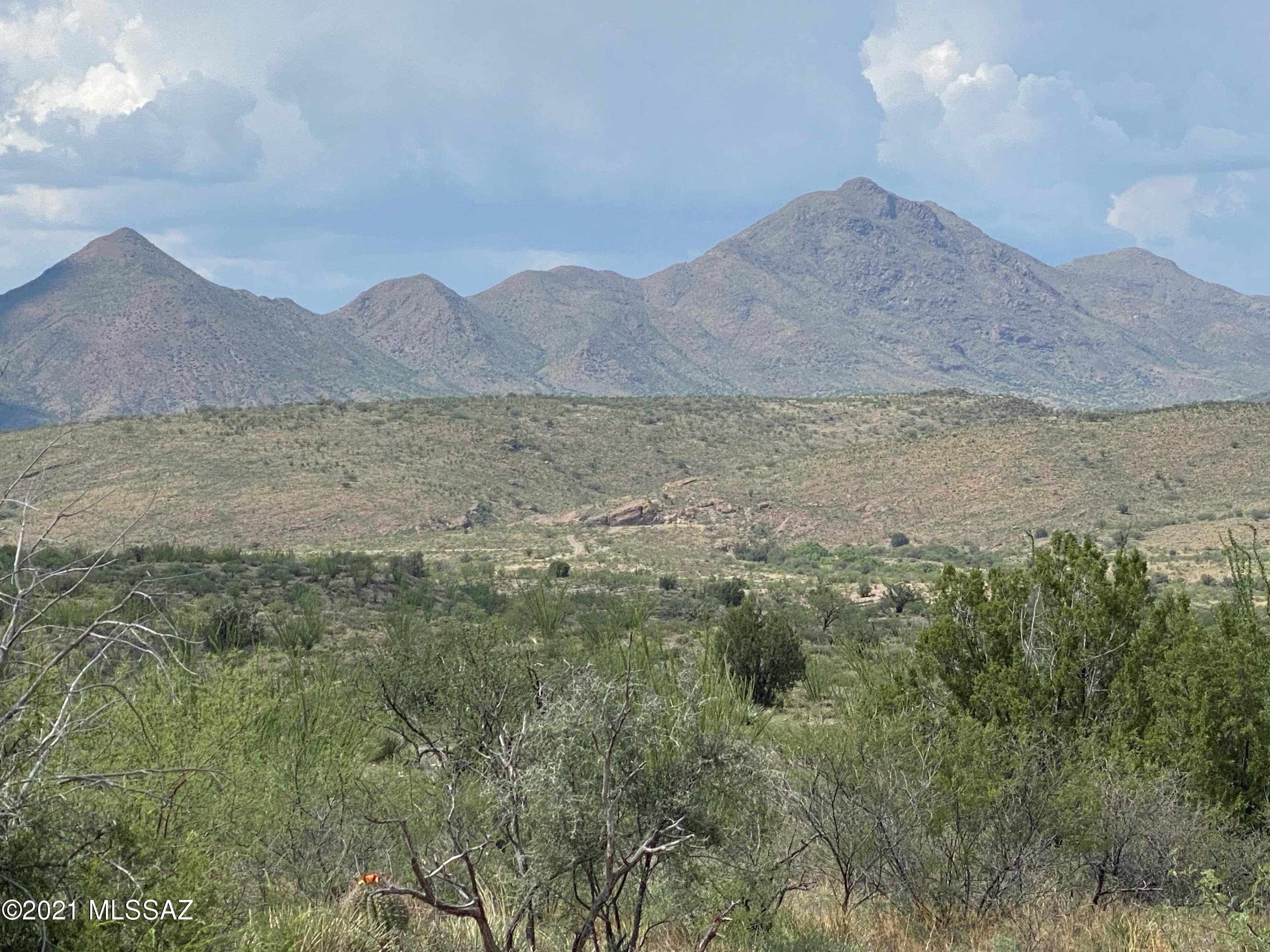 Tbd Tbd Camino Real, Unit 85/2 Rio Rico, AZ 85648 - Photo 3 of 28