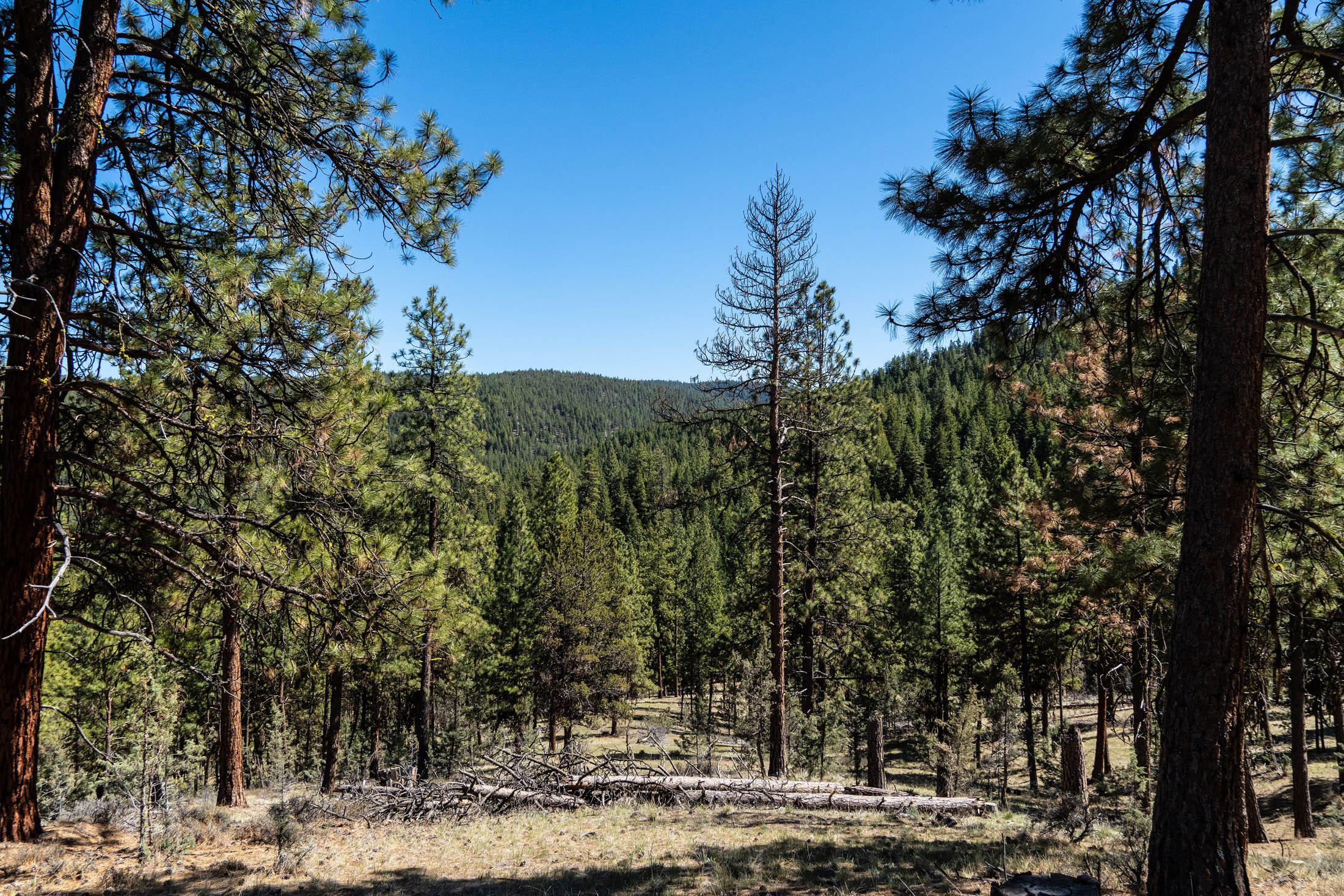 24302 Northeast Ochoco Ranger Station Road Prineville, OR 97754 - Photo 20 of 22 Ochoco Creek Rd_0130 copy