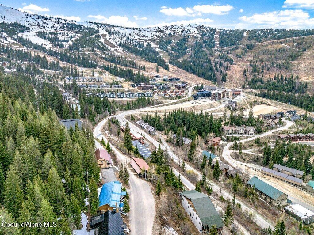 226 Mogul Hill Road Sandpoint, ID 83864 - Photo 23 of 24 Blue Beetle 3