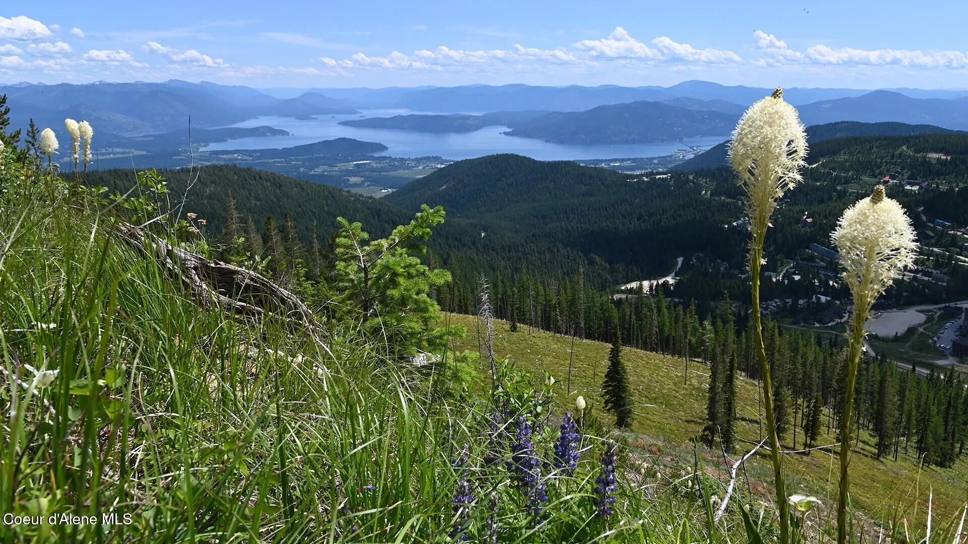 226 Mogul Hill Road Sandpoint, ID 83864 - Photo 3 of 24 Schweitzer Spring