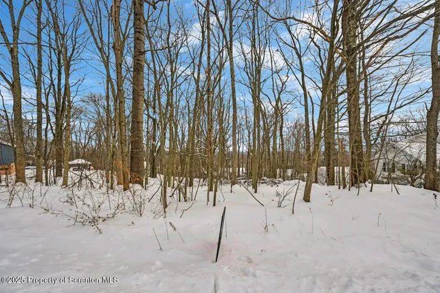 a view of outdoor space with lots of trees