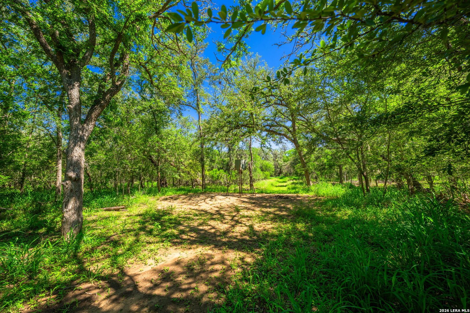 3355 Jim Brite Road Pleasanton, TX 78064 - Photo 8 of 50