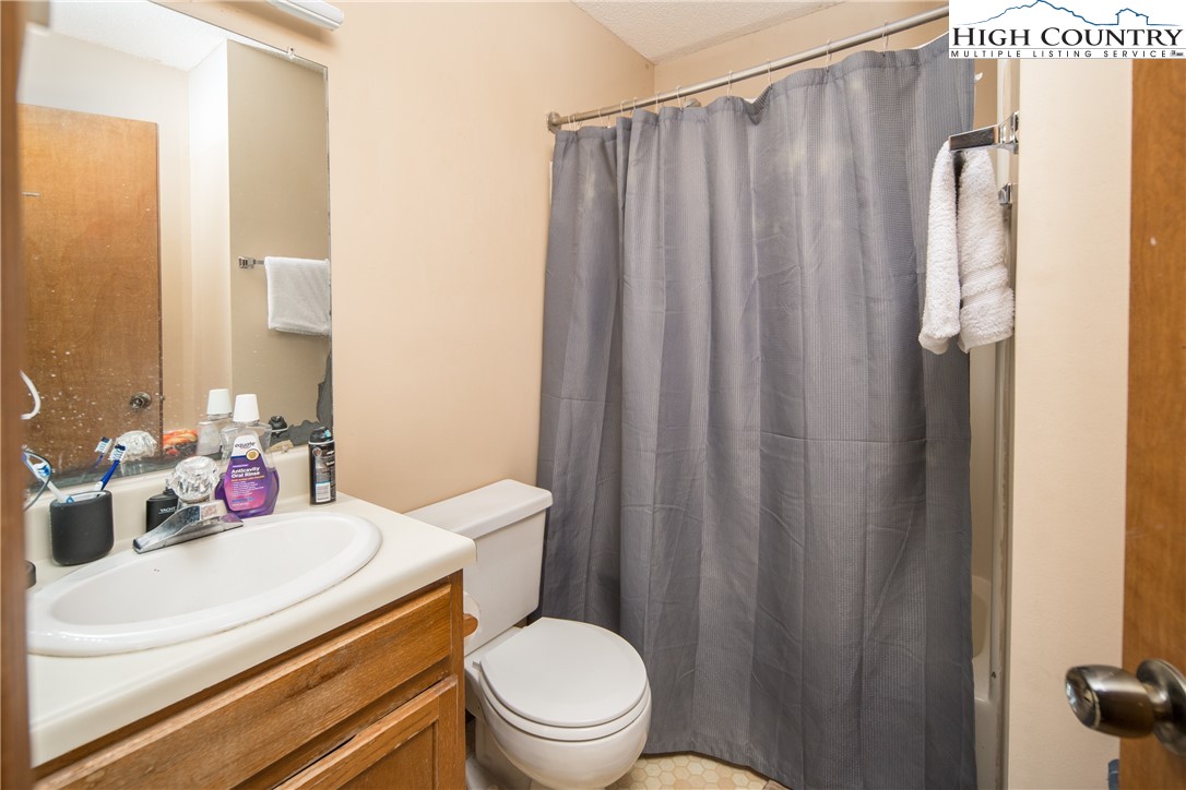 236 Oak Street, Unit H12 Boone, NC 28607 - Photo 9 of 22 a bathroom with a sink a toilet and shower curtain