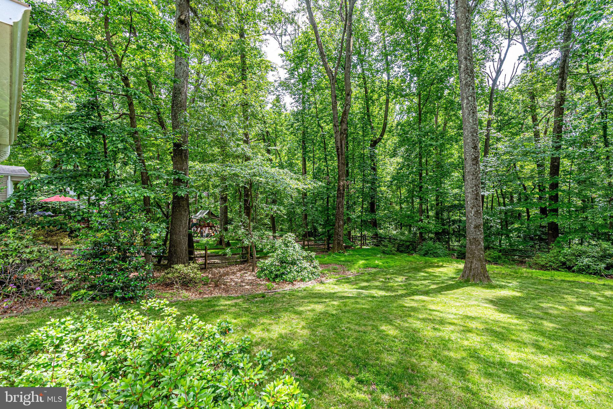 12325 Panama Road Reston, VA 20191 - Photo 23 of 25